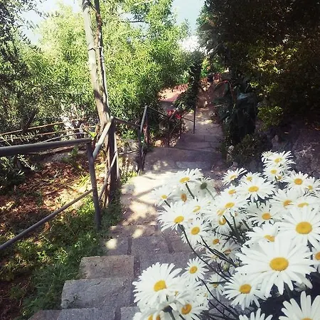 Bed and breakfast Casa Colomba Praiano